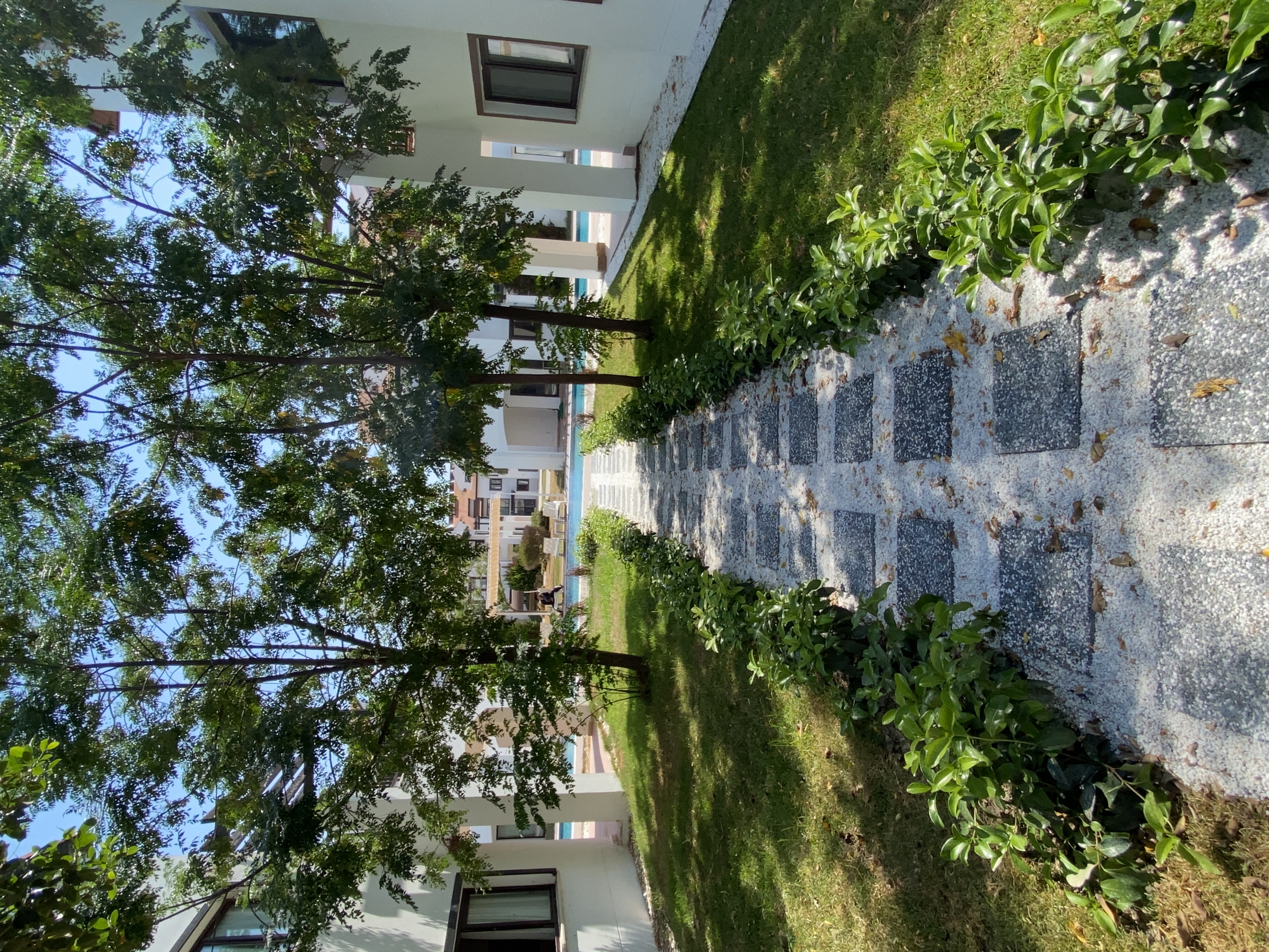 Premium Bahçe Tasarımı