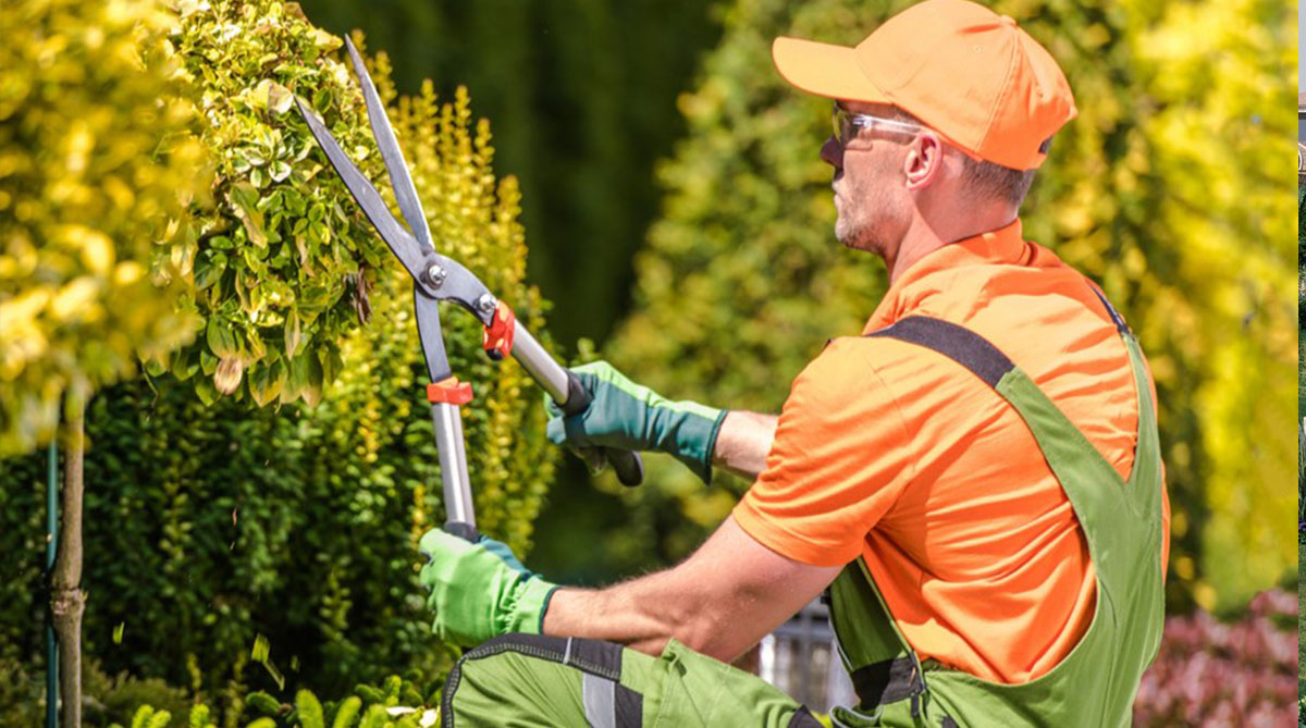 Bahçe Bakım Hizmetleri